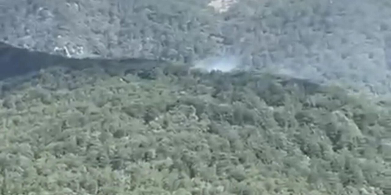 Bursa ve İzmir'de çıkan orman yangınları kontrol altına alındı