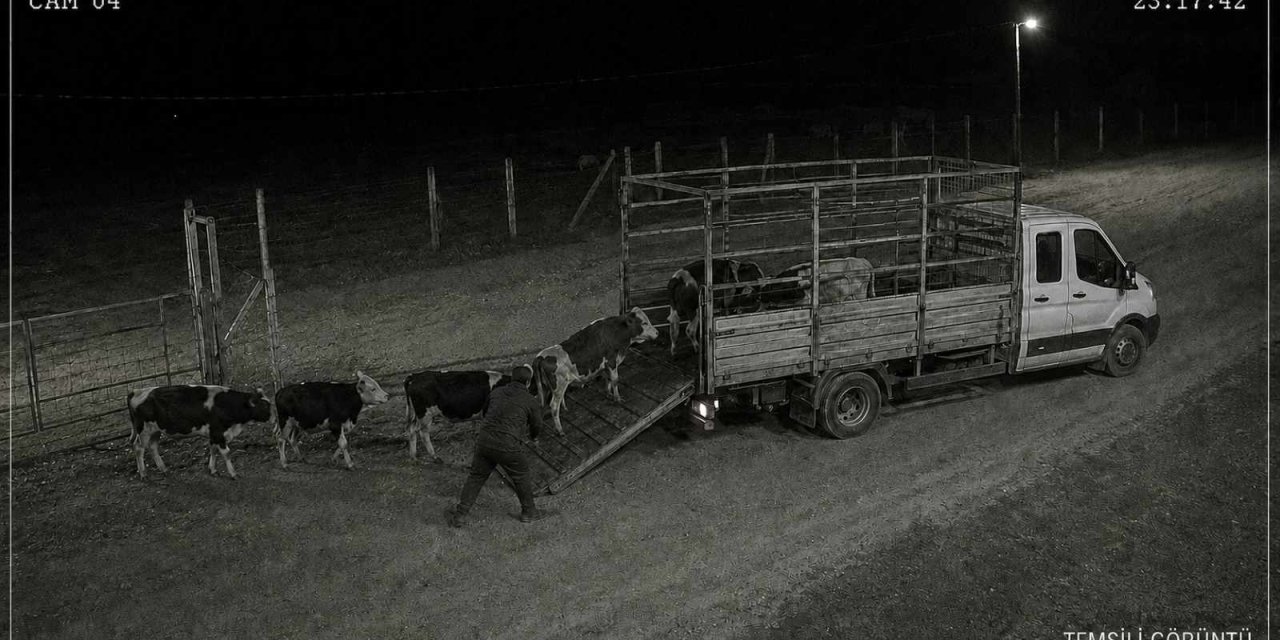 Kırşehir’de garip olay: Hayvanları sakladı, sahibiyle aramaya çıktı