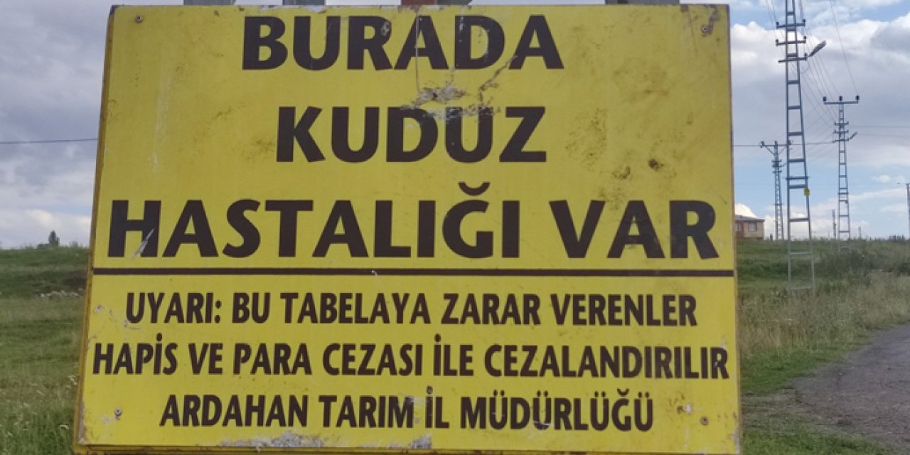 Kuduz alarmı mahalleyi karantinaya aldırdı