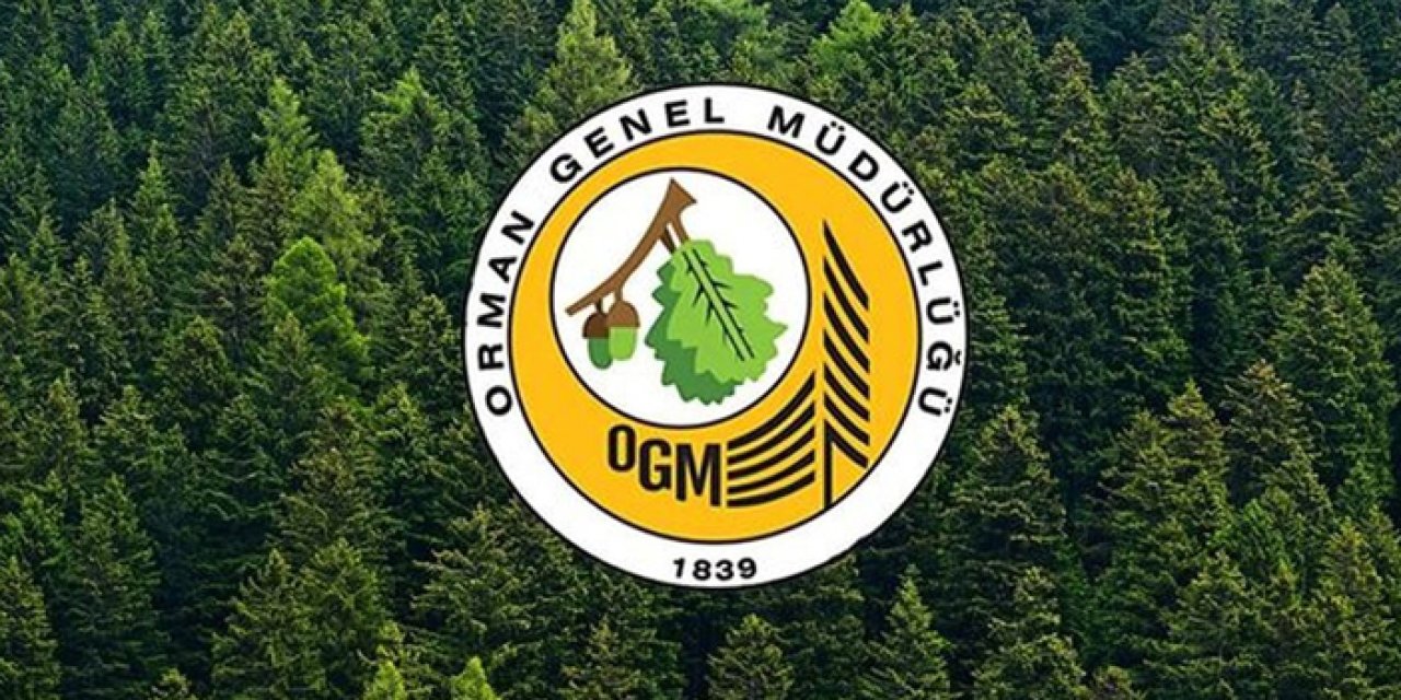 Kızılcahamam’da orman işletmesine binlerce litre mazot alınacak