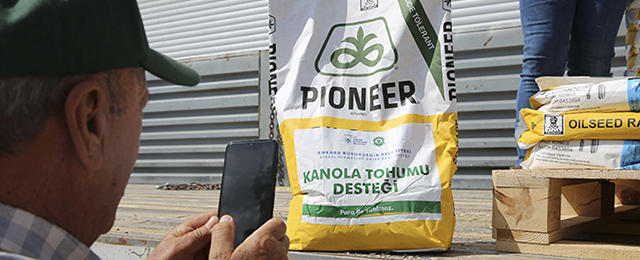 Ankara’da kanola atağı: 24 bin dekarda üretim yapıldı