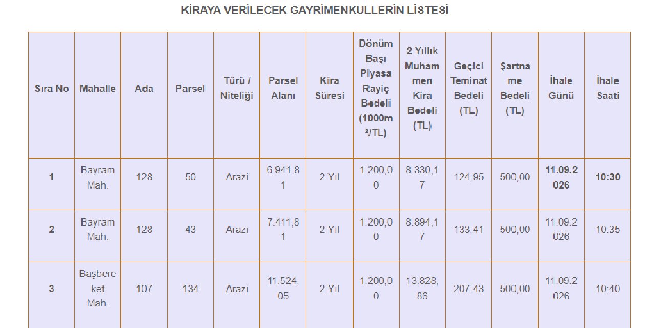 Ankara'da belediyeden kiralık tarla: Dönümü 1200 TL