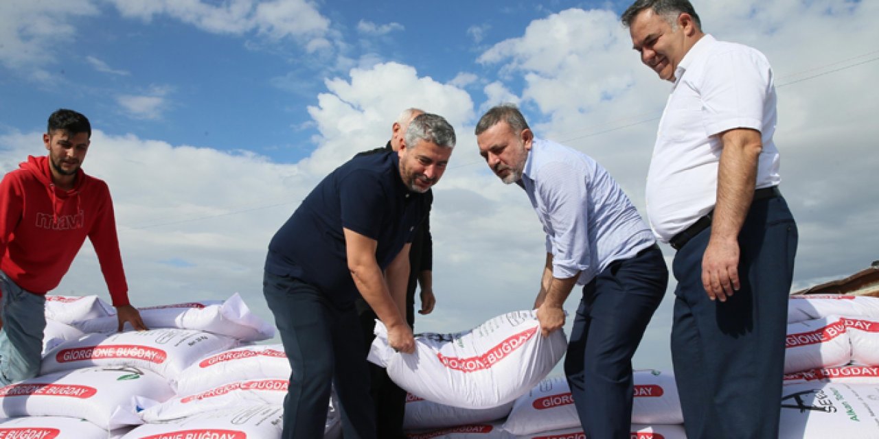 Sincan’da çiftçiye yüzde 75 hibeli buğday tohumu desteği