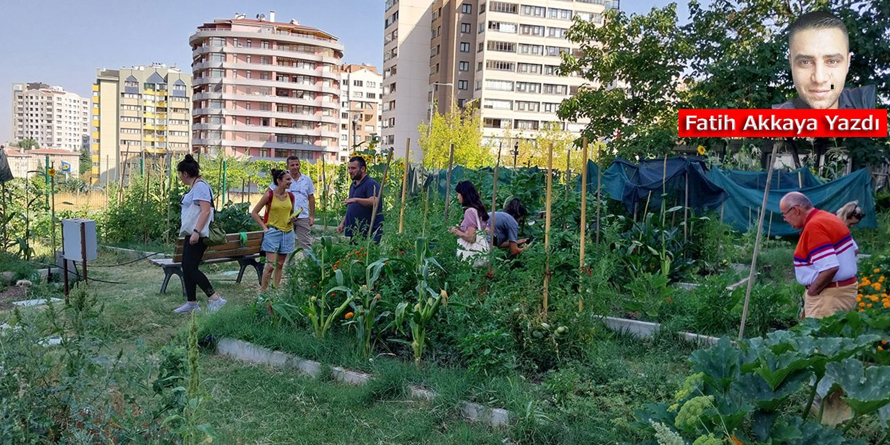 Ankara'nın göbeğinde; Kent Bostanları sizi bekliyor