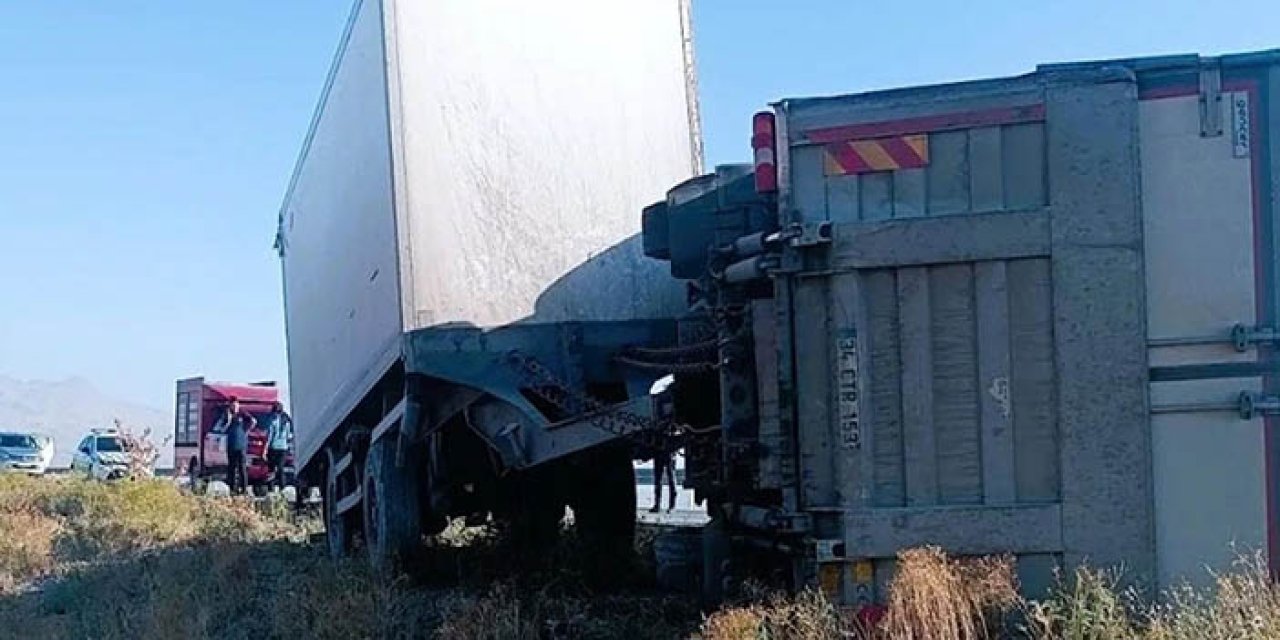 Yola çıkan eşek kazaya neden oldu: 2 yaralı