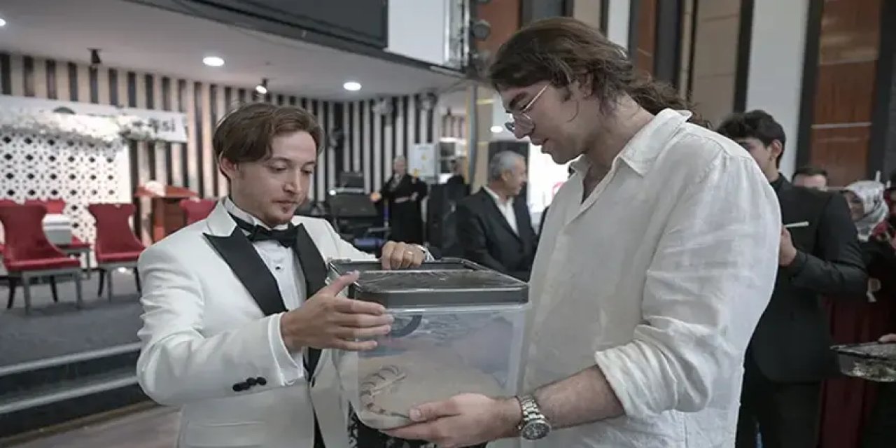 Genç Çifte Arkadaşları Düğünde Altın Yerine Egzotik Hayvanlar Hediye Etti