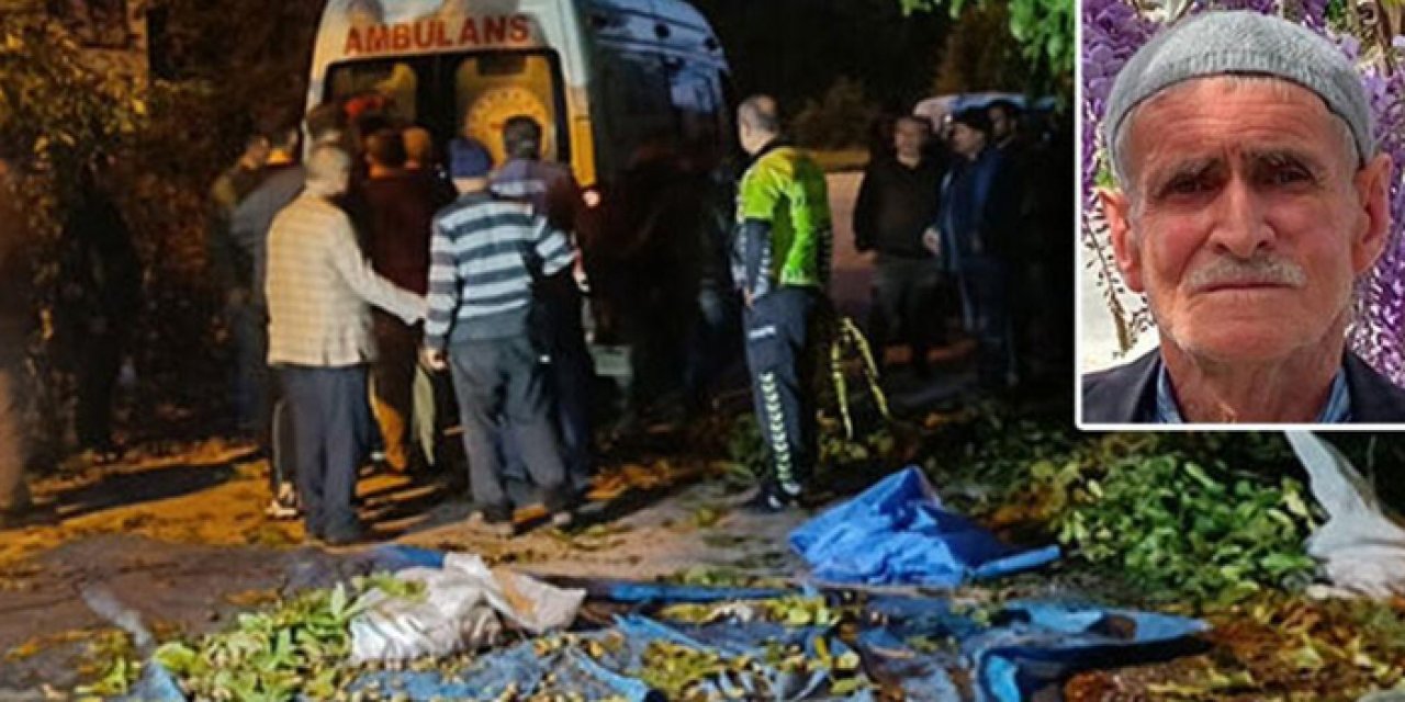 Ceviz toplarken 8 metreden düşen 78 yaşındaki adam öldü
