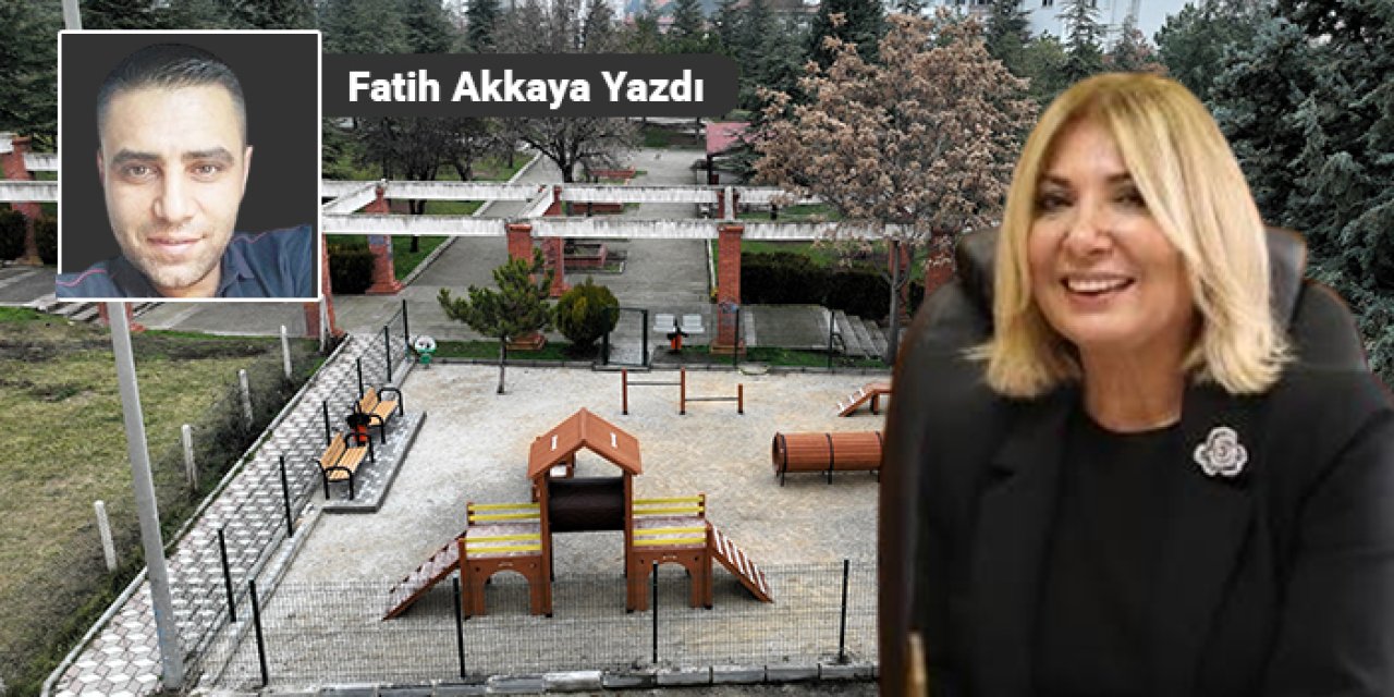 Al birini vur ötekine