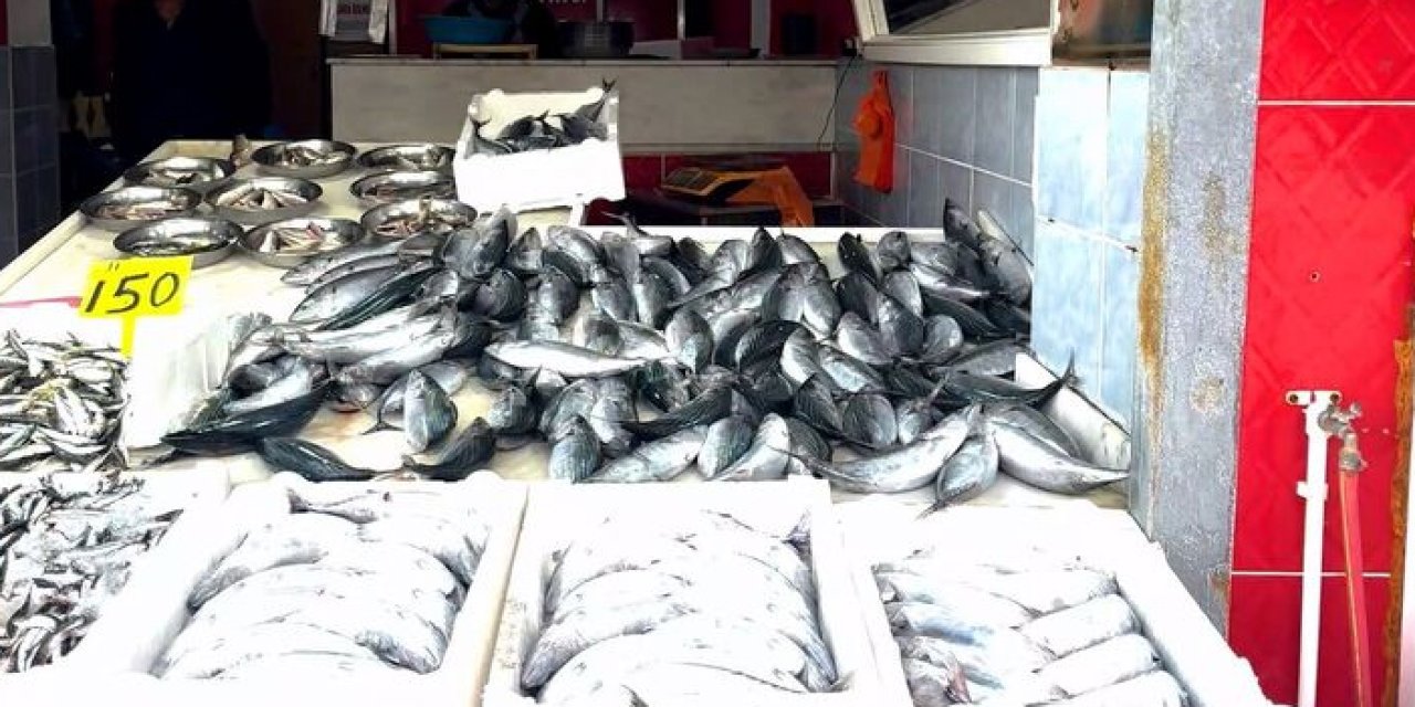 Palamutta bereket yaşanıyor: 3 tanesi 100 Lira!