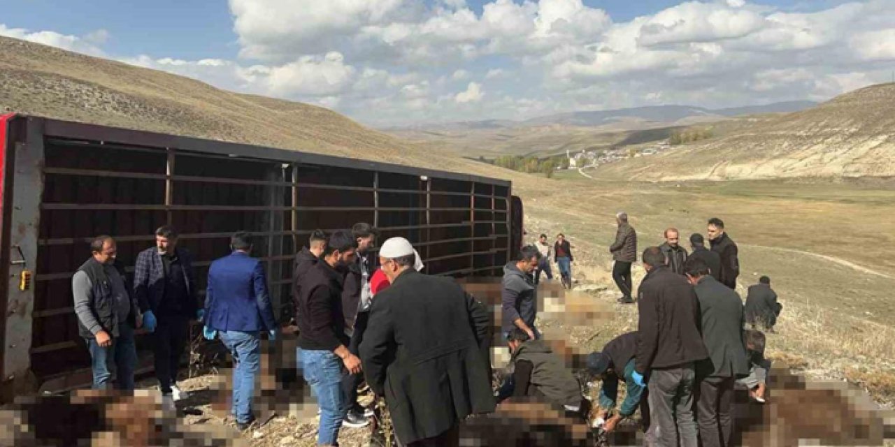 Erzurum’da feci kaza: 130 koyun telef oldu