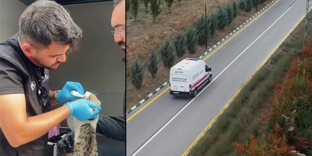 Sincan’da Haybulans sahada! Hayvanlar için seferberlik ilan edildi