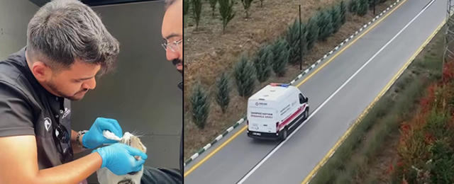Sincan’da Haybulans sahada! Hayvanlar için seferberlik ilan edildi