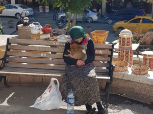 Yaşlı nineden köpeğe duygulandıran şefkat