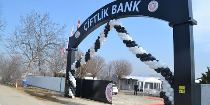 Çiftlik Bank'ta kaç kişiyi dolandırdıkları ortaya çıktı