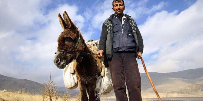 Çobanla eşek arasında 30 yıllık dostluk!