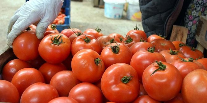 Rusya 5 Türk şirketinden daha domates alacak