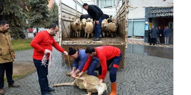 MHP Çubuk'ta "Mehmetçiğe Kurban Olsun" Programı