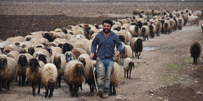 Güneydoğu'da köyler yeniden canlanacak