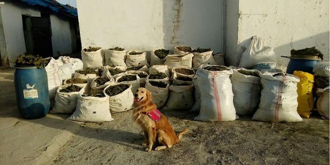 'PKK uluslararası açıdan kabul görmüş bir narkoterör örgütü'