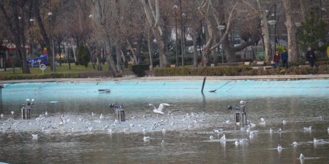 Gençlik Parkı'nın yeni misafirleri