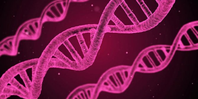 Kanser tedavisinde DNA nanorobotları devrede