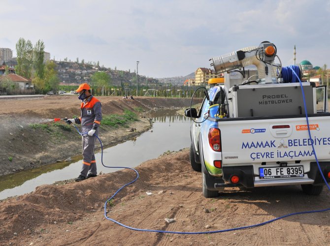 Mamak’ta larva ilaçlaması başladı