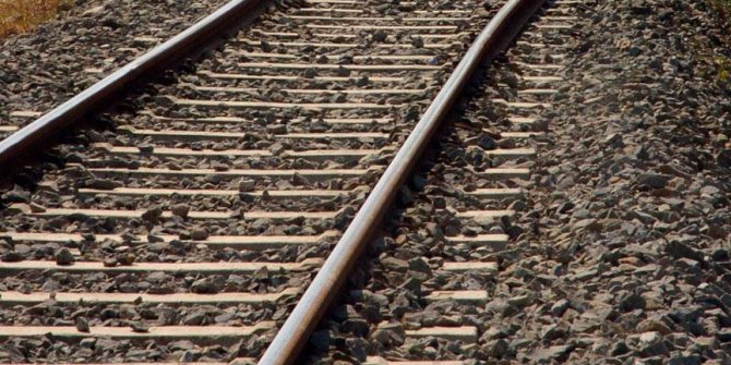 Tren raylarına bağlanan köpekler telef oldu