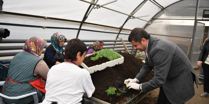 400 bin çiçek dikildi