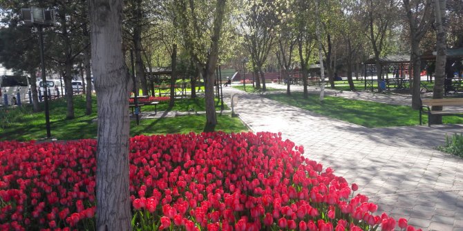 Ankara lalelerle süslendi