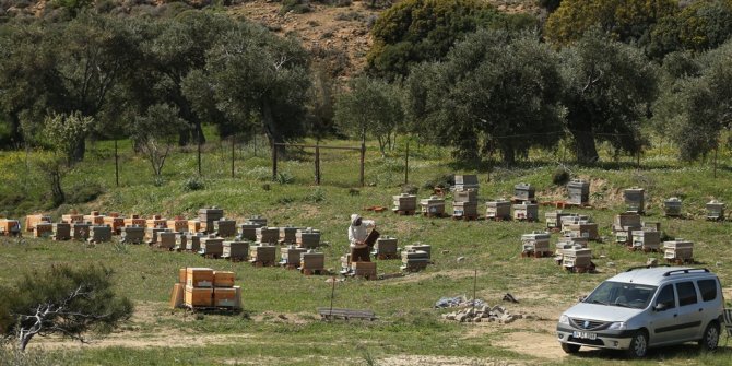 Ege’de bir Karadeniz köyü