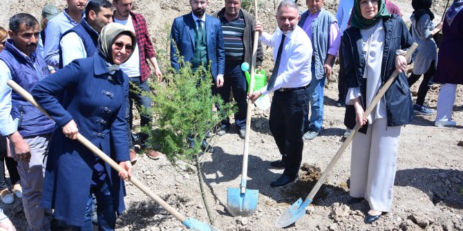 Şehitler için hatıra ormanı