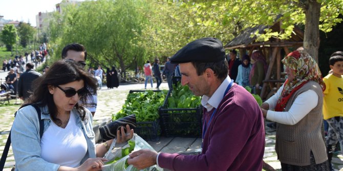 Altınköy'ün doğal yeşilliklerine yoğun ilgi