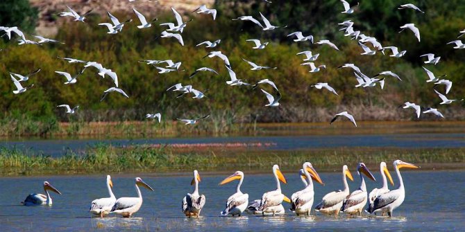 Başkent’in saklı güzellikleri