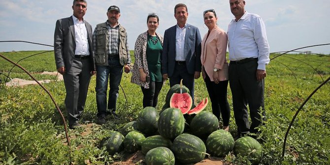 Adana'da 'ham karpuz timleri' iş başında