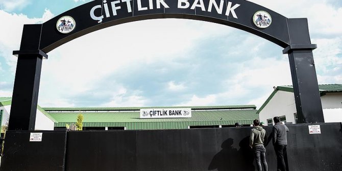 Bulgaristan'ın iade ettiği Çiftlik Bank firarisi adliyede