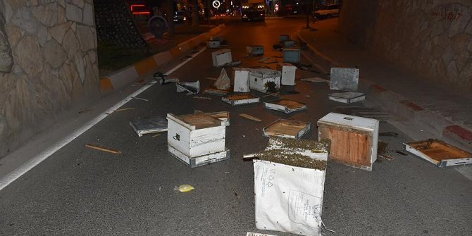 Kamyonun kasası köprüye takıldı, arı kovanları yola saçıldı
