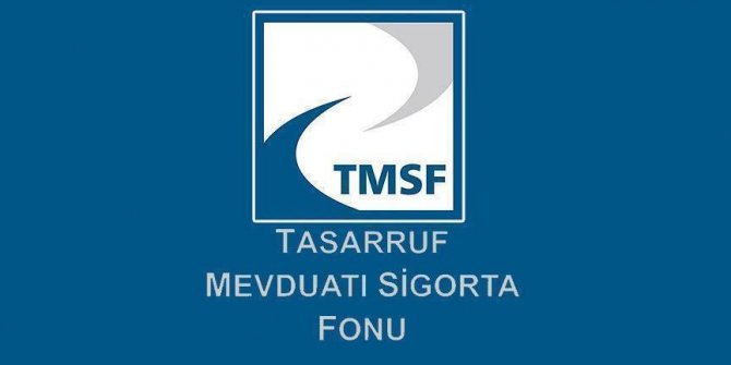 TMSF, Dumankaya şirketlerinin tasfiyesine karar verdi