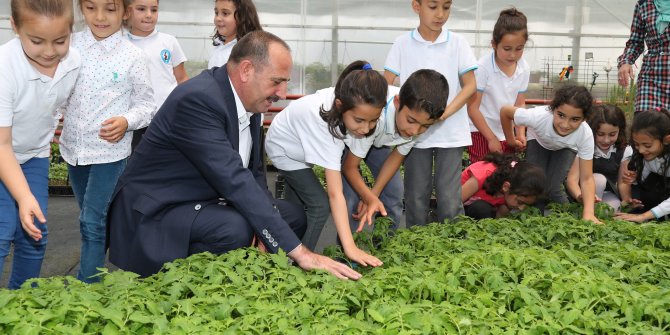 Öğrencilere sebze fidesi