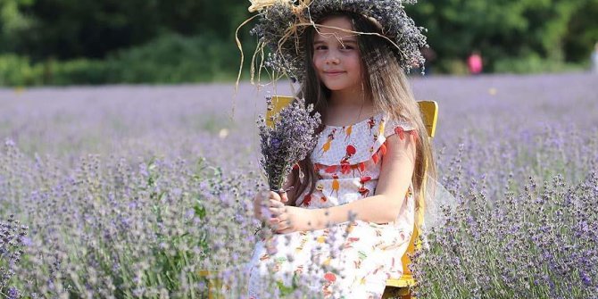 Lavanta tarlası Edirne'nin tanıtımına katkı sağladı