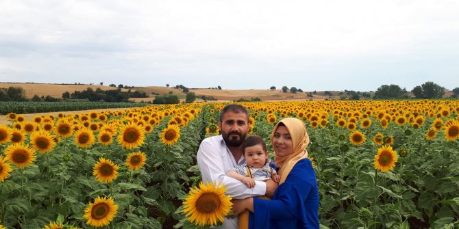 Doğanın ‘sarı gelini'