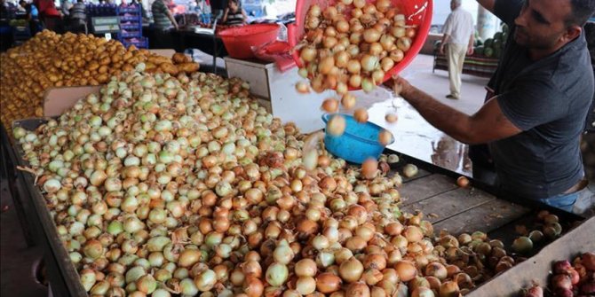 Patates ve soğan fiyatlarında keskin düşüş