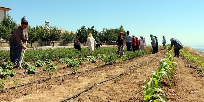 Kriz dönemlerini 'hobi bahçesi' ile atlatıyorlar