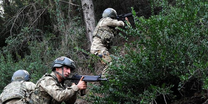 Bitlis'te 5 terörist etkisiz hale getirildi