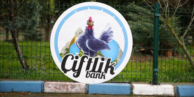 Denizli ve Manisa'da 'Çiftlik Bank' yöntemiyle dolandırıcılık