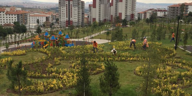 Altındağ'ın parklarına yaz bakımı