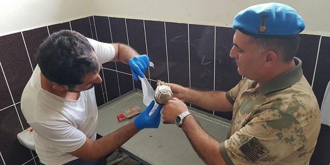Van'da yaralı baykuşu jandarma ekipleri tedavi ettirdi