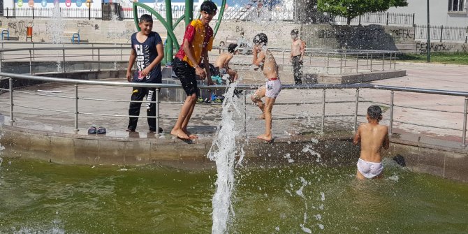 Süs havuzunda tehlikeli eğlence