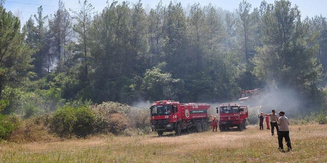 Nem artınca vatandaş, düşünce ormancı bunalıyor