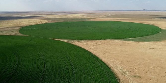 Ovadaki 66 futbol sahası büyüklüğündeki çember tarlaların sırrı