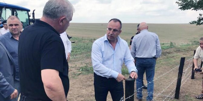 Bulgaristan'da domuz vebası alarmı!